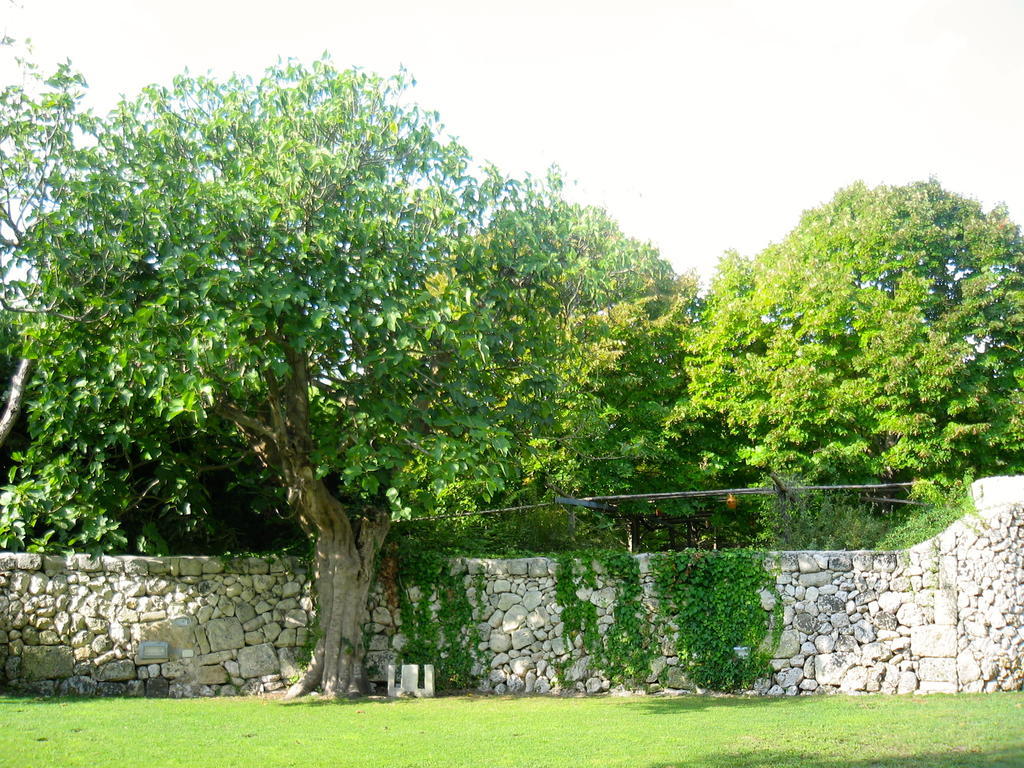 Tenuta Sant'Andrea Giuggianello Eksteriør bilde