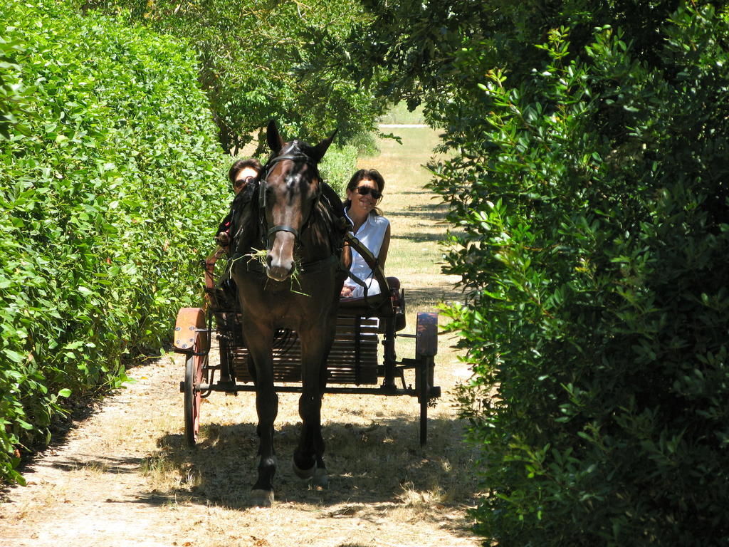 Tenuta Sant'Andrea Giuggianello Eksteriør bilde